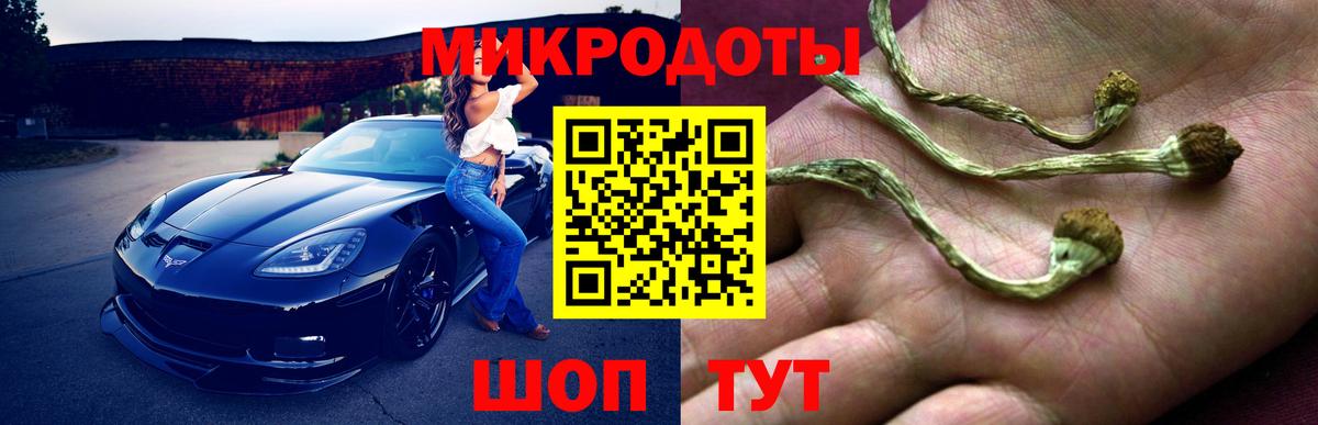 Псилоцибиновые грибы MAGIC MUSHROOMS Богданович